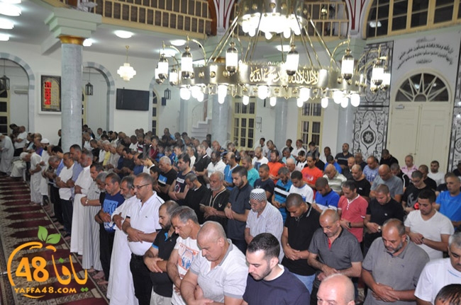 nozha mosqueqk (1).JPG